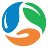 Kinohana 